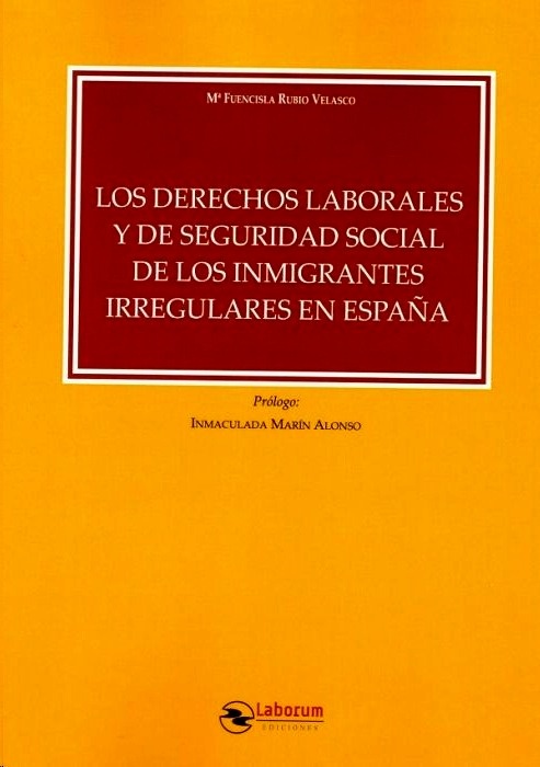 Derechos laborales y de Seguridad Social de los inmigrantes irregulares en España, Los