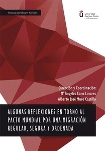 Algunas reflexiones en torno al pacto mundial por una migración regular, segura y ordenada.