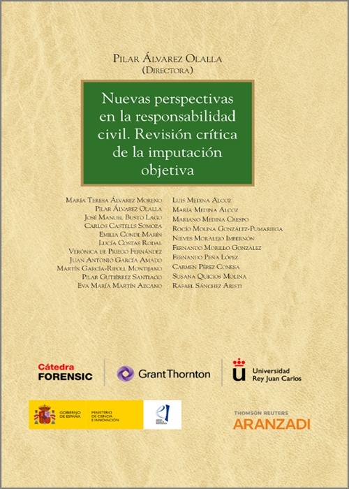Nuevas perspectivas en la responsabilidad civil. Revisión crítica de la imputación objetiva