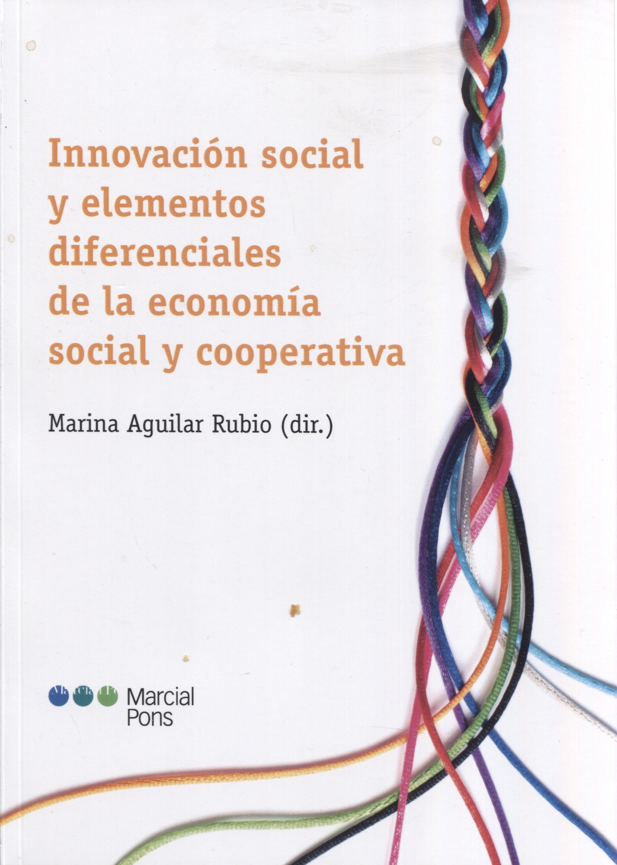 Innovación social y elementos diferenciales de la economía social y cooperativa