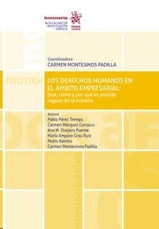 Derechos Humanos en el ámbito empresarial: Qué, cómo y por qué es posible regular en la materia