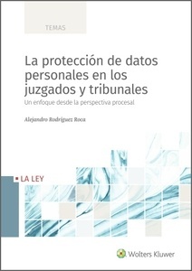 Protección de datos personales en los juzgados y tribunales, La "Un enfoque desde la perspectiva procesal"
