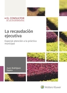 La recaudación ejecutiva. Especial atención a la práctica municipal