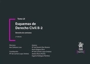 Esquemas de Derecho Civil II-2. Derecho de contratos Tomo LII