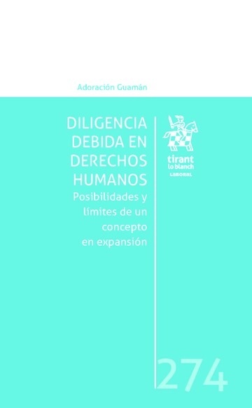 Diligencia debida en Derechos Humanos. Posibilidades y límites de un concepto en expansión