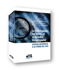 Investigación del delito en el Derecho penal español, La "Especial referencia a la teoría del caso"