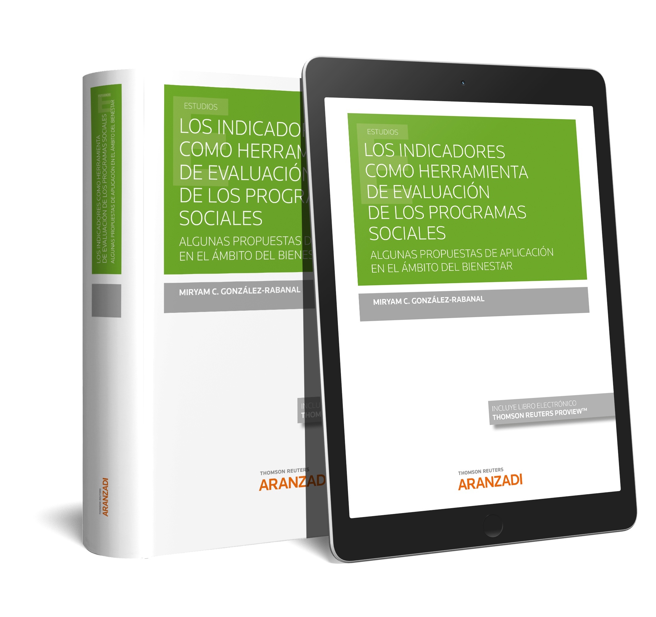 Indicadores como herramienta de evaluación de los programas sociales, Los "Algunas propuestas de aplicación en el ámbito del bienestar"