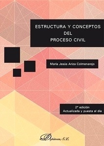 Estructura y conceptos del proceso civil