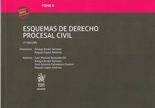 Esquemas de derecho procesal civil. Tomo II