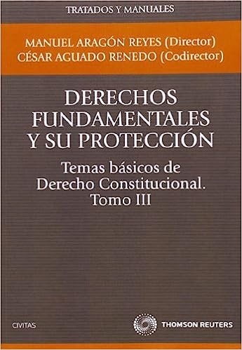 Temas básicos de derecho constitucional. Tomo III. Derechos fundamentales y su protección