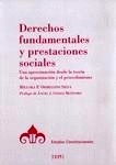 Derechos fundamentales y prestaciones sociales