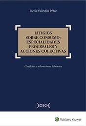 Litigios sobre consumo: especialidades procesales y acciones colectivas. conflictos y reclamaciones habituales