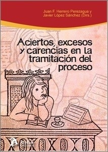 Aciertos, excesos y carencias en la tramitación del proceso