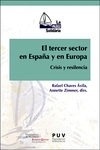 Tercer sector en España y en Europa, El