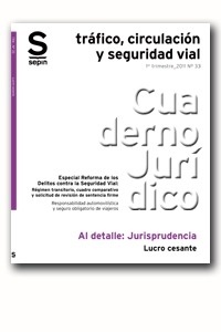 Lucro cesante "Reforma de los delitos contra seguridad vial"