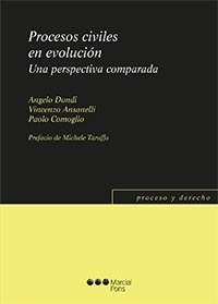 Procesos civiles en evolución. Una perspectiva comparada