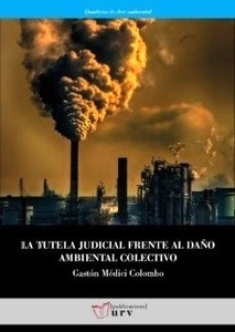 Tutela judicial frente al daño ambiental colectivo, La