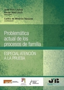 Problemática actual de los procesos de familia. Especial atención a la prueba