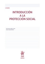 Introducción a la protección social
