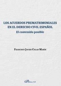 Acuerdos Prematrimoniales en el Derecho Civil Español, Los "El contenido posible"
