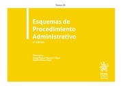 Esquemas de procedimiento administrativo Tomo IX