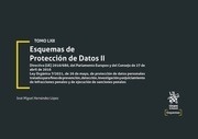 Esquemas de Protección de Datos Tomo LXII Vol.II