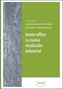 HOME OFFICE: La nueva revolución industrial (POD)