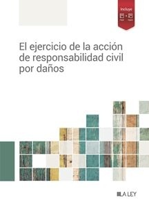 El ejercicio de la acción de responsabilidad civil por daños