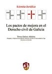 Pactos de mejora en el Derecho civil de Galicia, Los