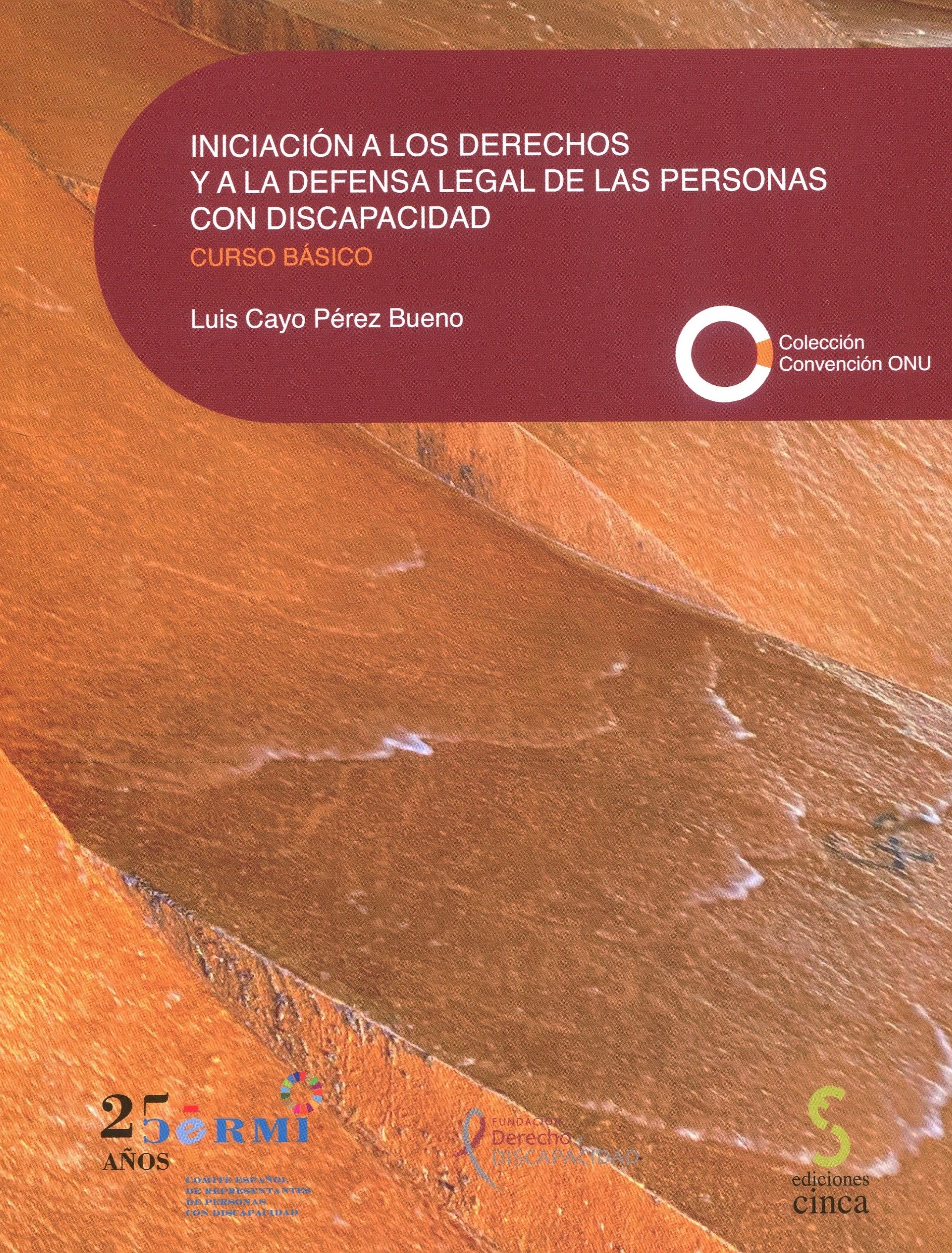 Iniciación a los derechos y a la defensa legal de las personas con discapacidad