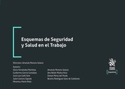 Esquemas de Seguridad y Salud en el Trabajo