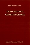 Derecho Civil Constitucional