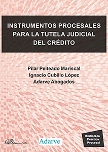 Instrumentos procesales para la tutela judicial del crédito