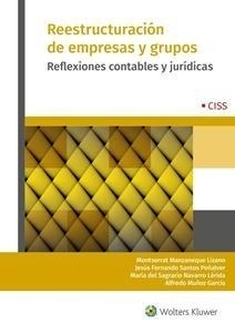 Reestructuracion de Empresas y Grupos: Reflexiones Contables y Jurídicas